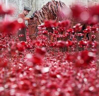 A photo of War Horse at the Tower of London commemorating the WW1 100th Anniversary